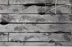 Photo Textures of Wood Planks